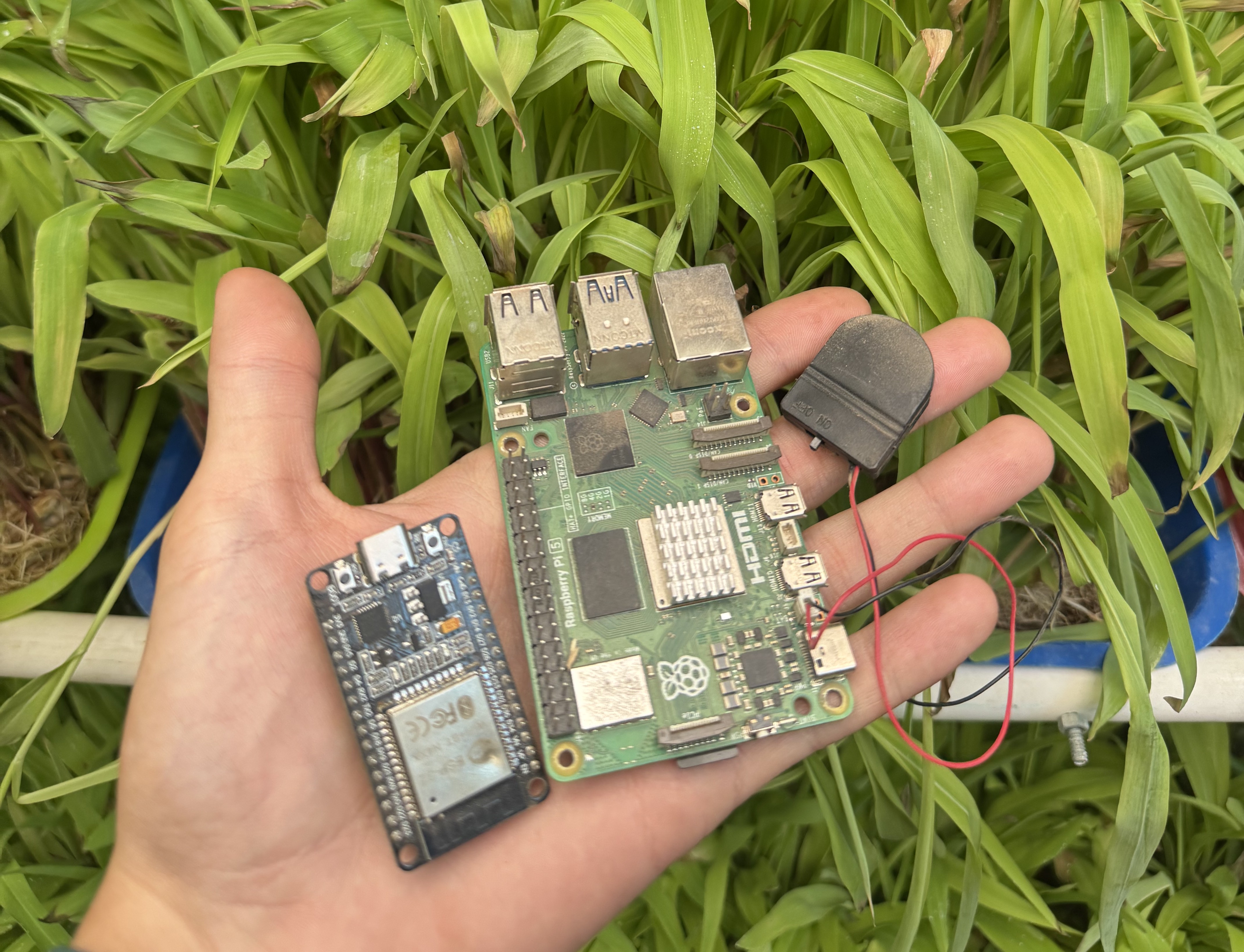 Sistema automatizado Agrotronic S.E